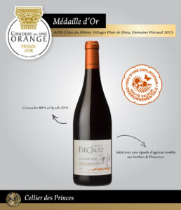 Modèle Post CDP RS 2024